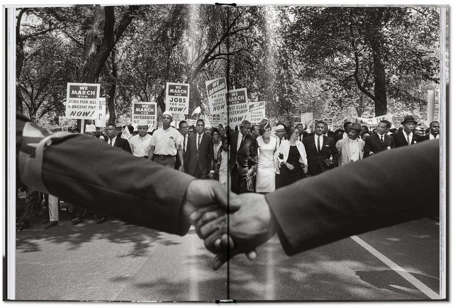 James Baldwin. Steve Schapiro. The Fire Next Time (English)