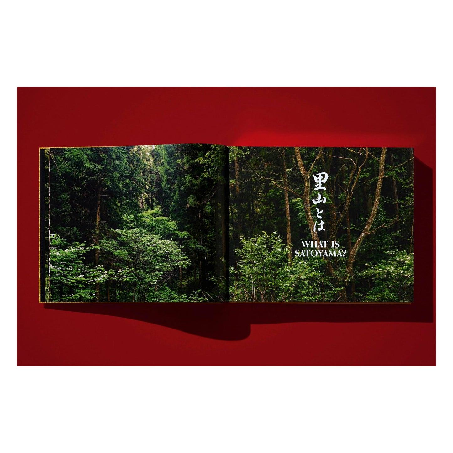 Yoshihiro Narisawa. Satoyama Cuisine (English)
