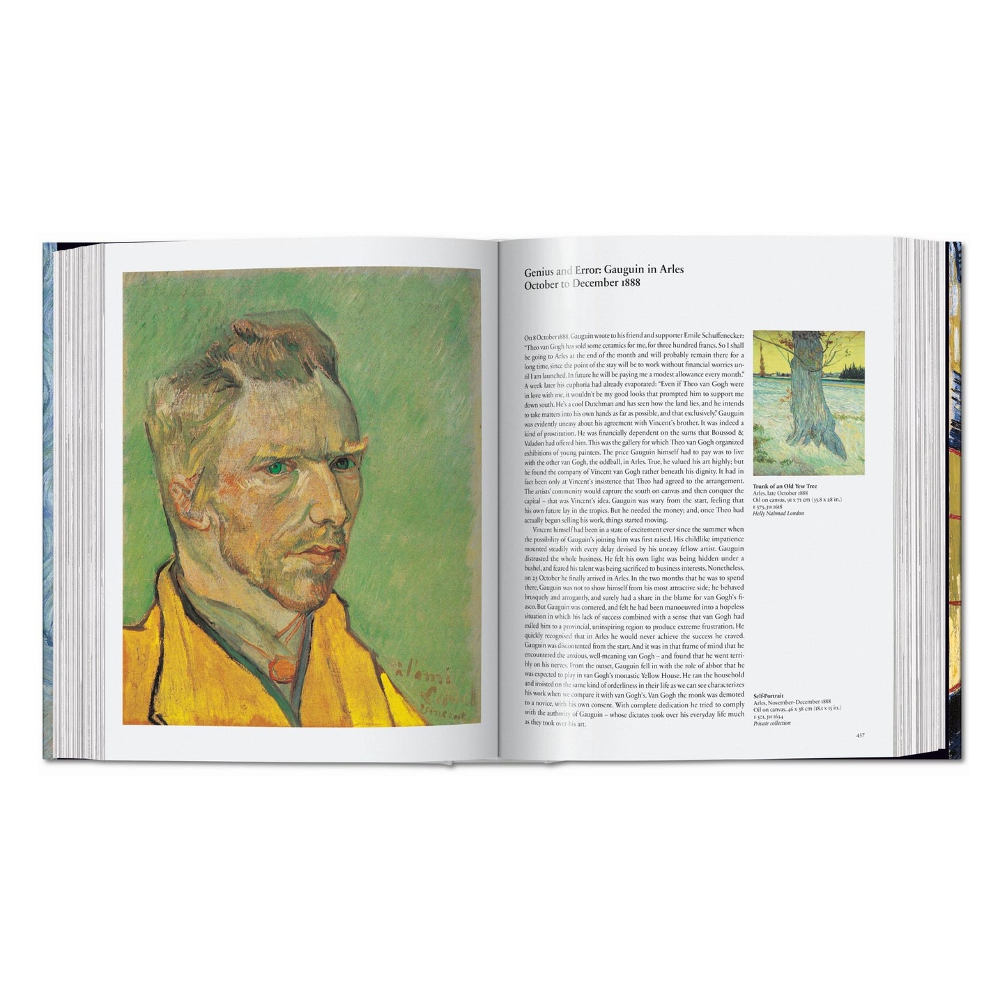 Van Gogh. Obra pictórica completa (Spanish)
