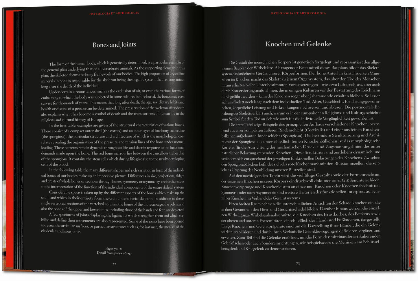 Anatomical Waxes. 45th Ed. (German, French, English)