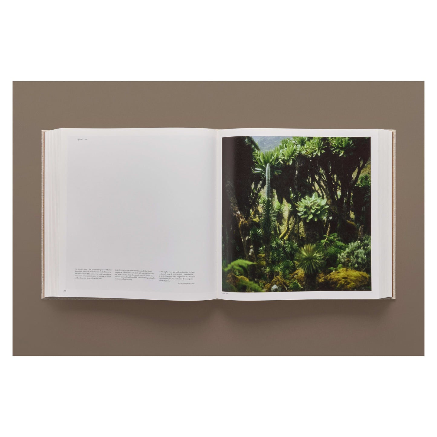 Darren Almond. Fullmoon. Art Edition No. 1–60, ‘Fullmoon@Pentre Ifan’ (German, French, English)