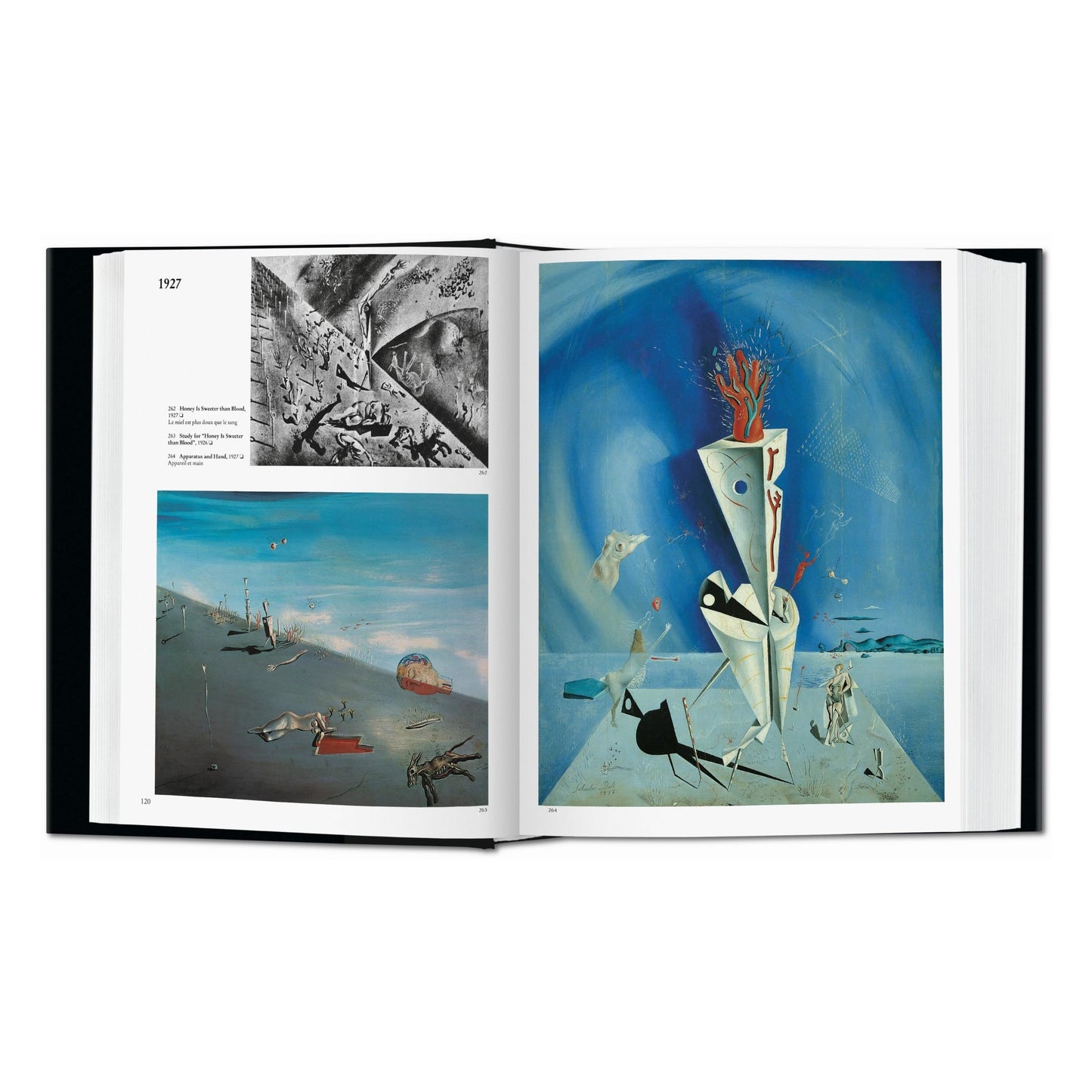 Dalí. L'œuvre peint (French)