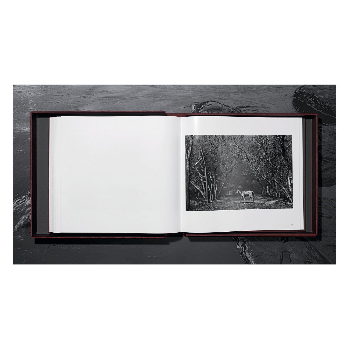 Sebastião Salgado. Kuwait. A Desert on Fire (English) (SA)