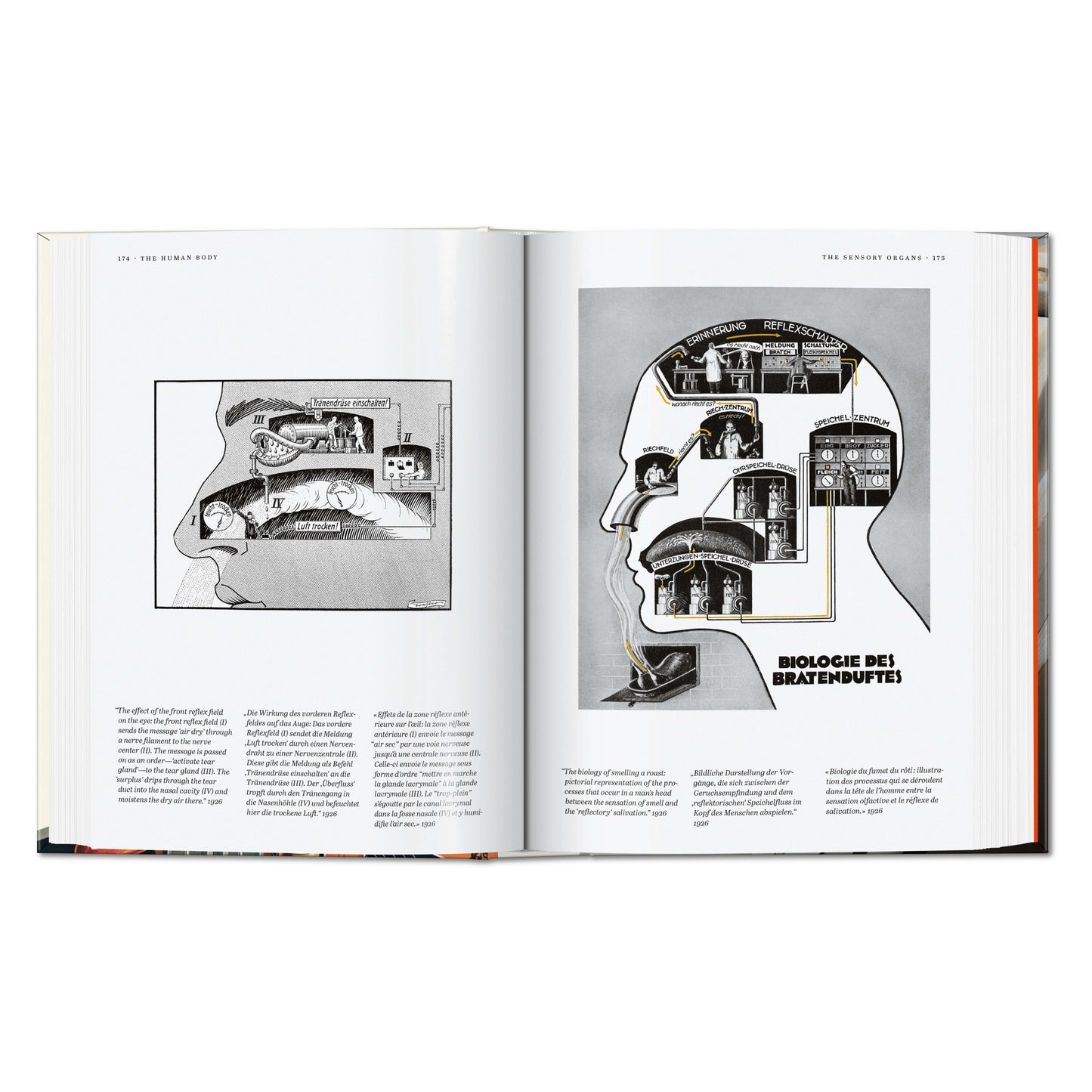 Fritz Kahn. Infographics Pioneer. 45th Ed. (German, French, English)