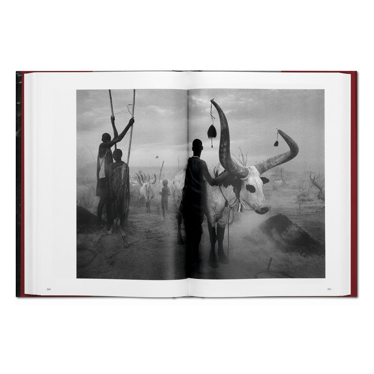 Sebastião Salgado. Genesis (English)