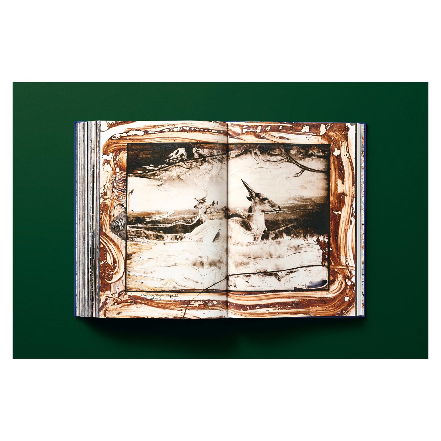 Peter Beard (German, French, English)