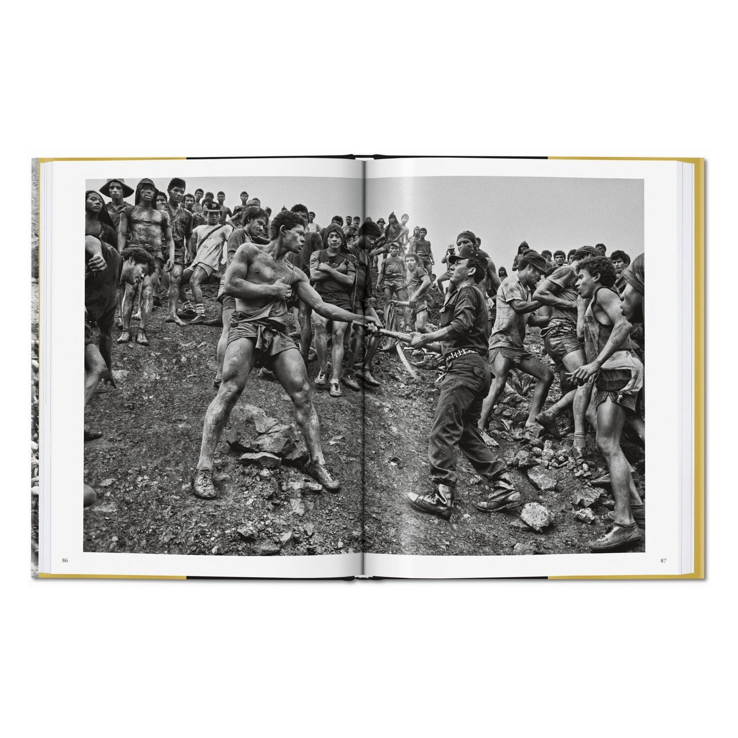 Sebastião Salgado. Gold (German, French, English)
