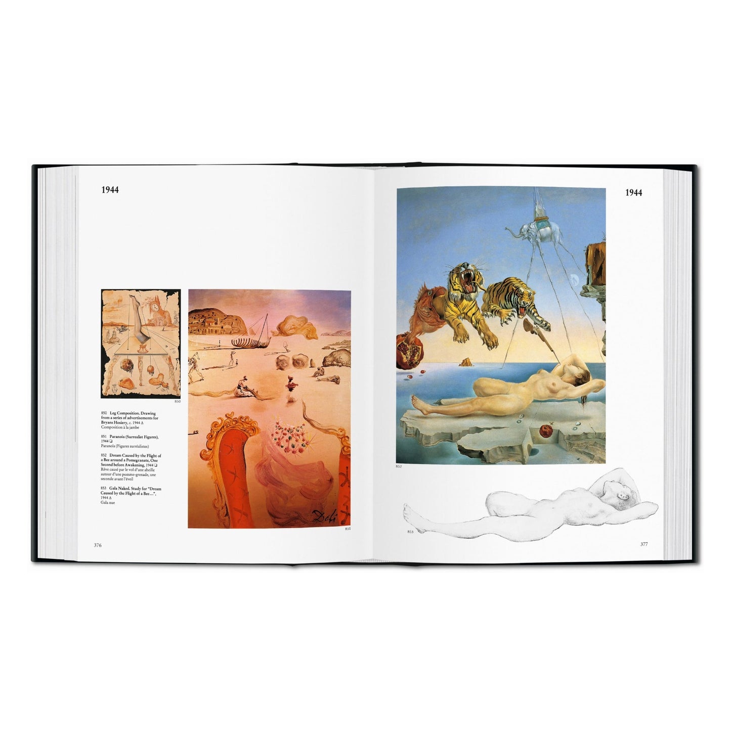Dalí. L'œuvre peint (French)