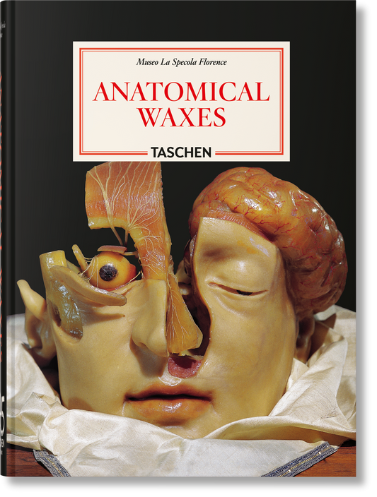 Anatomical Waxes. 45th Ed. (German, French, English)
