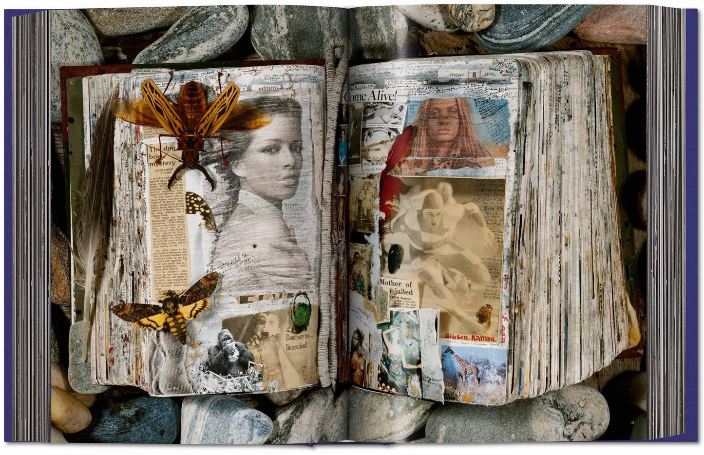 Peter Beard (German, French, English)