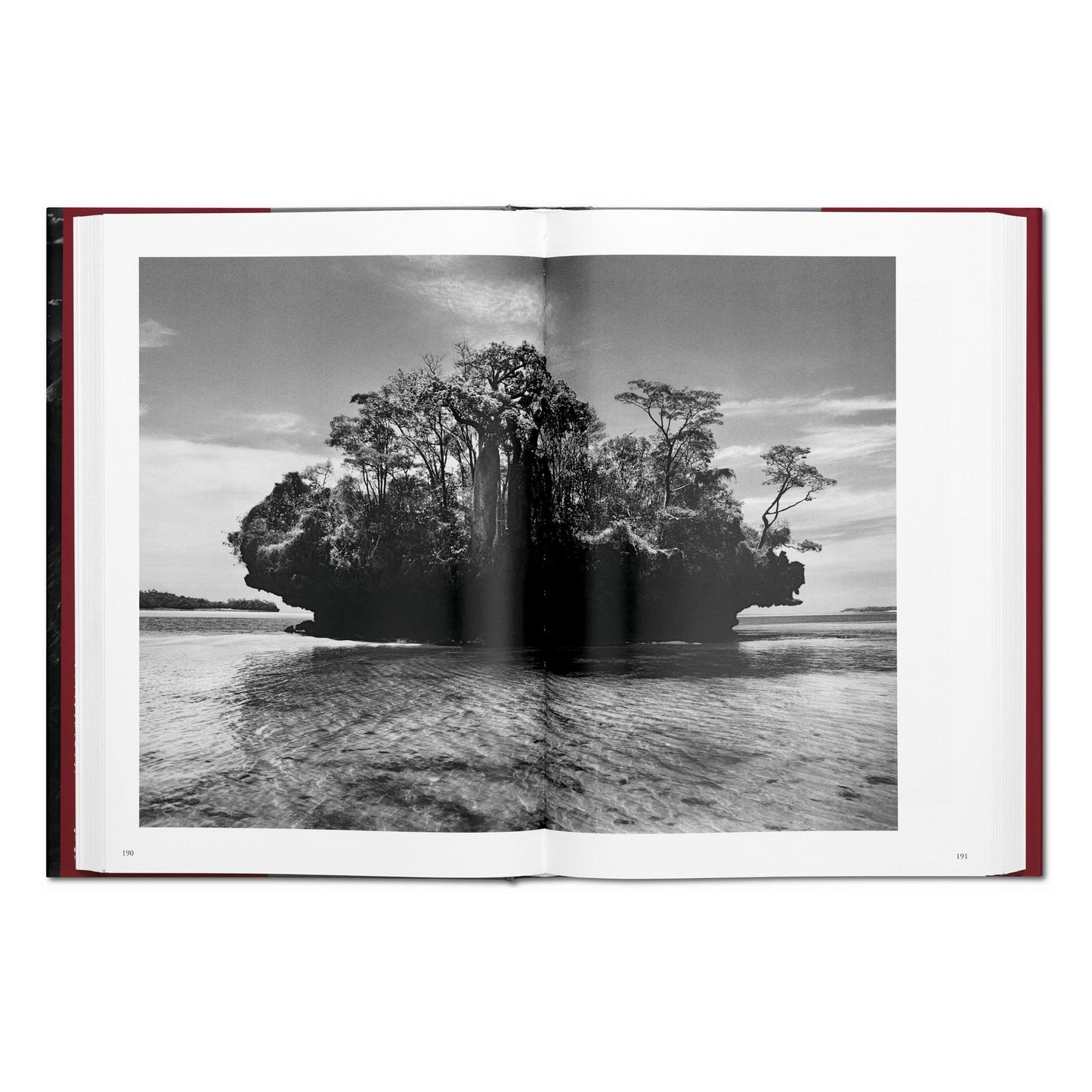 Sebastião Salgado. Genesis (English)