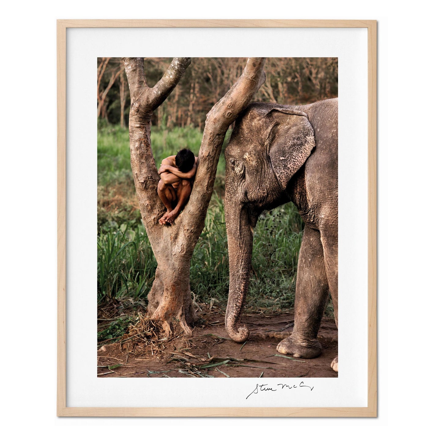 Steve McCurry. Animals. Art Edition No. 1–100 ‘Chiang Mai, Thailand, 2010’ (German, French, English)