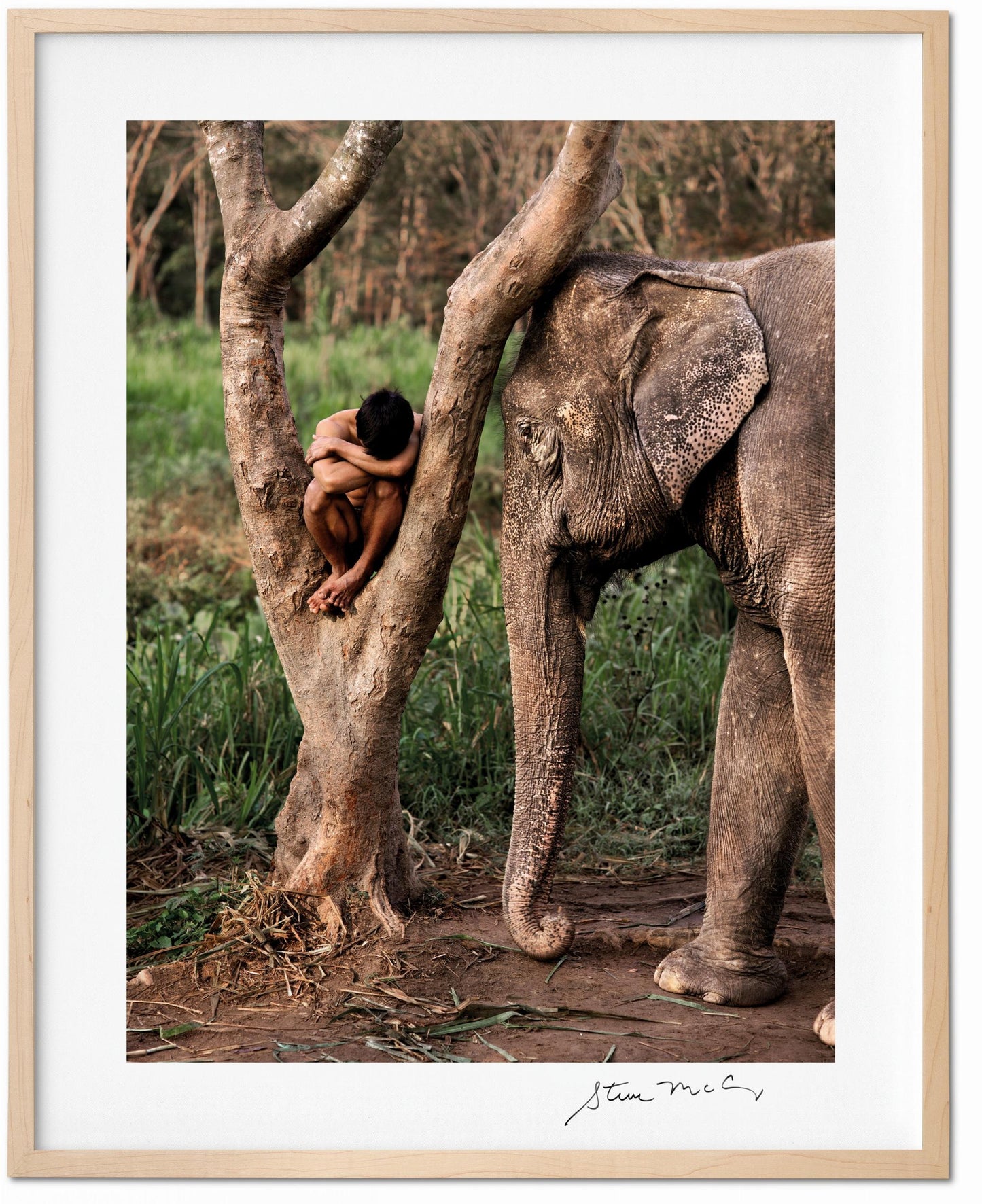 McCurry, Animals, Art A (German, French, English) (SA)