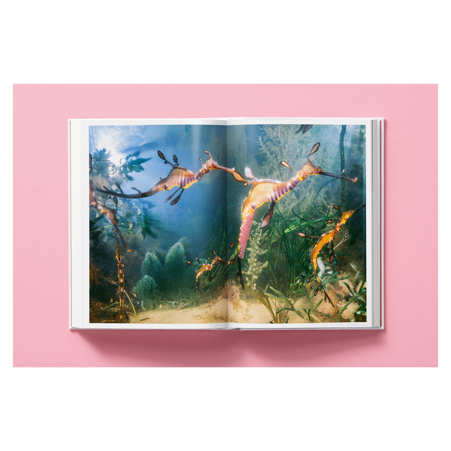 National Geographic. Around the World in 125 Years (English)