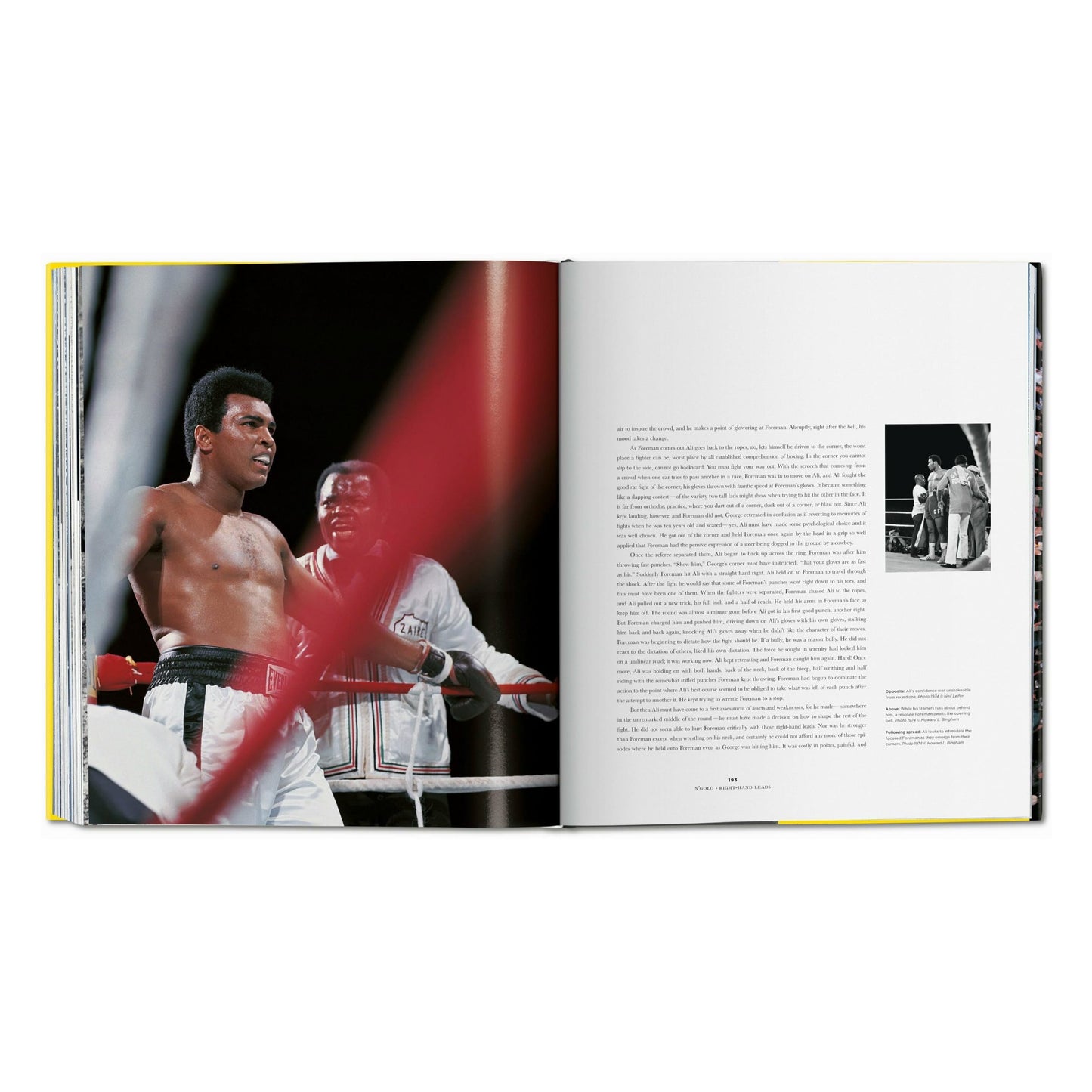Norman Mailer. Neil Leifer. Howard L. Bingham. The Fight (English)