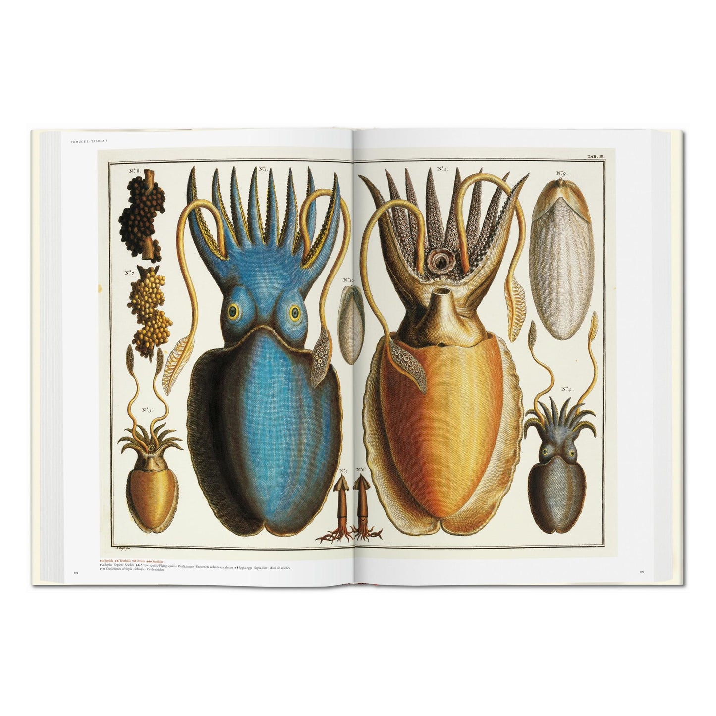 Seba. Cabinet of Natural Curiosities (German, French, English)