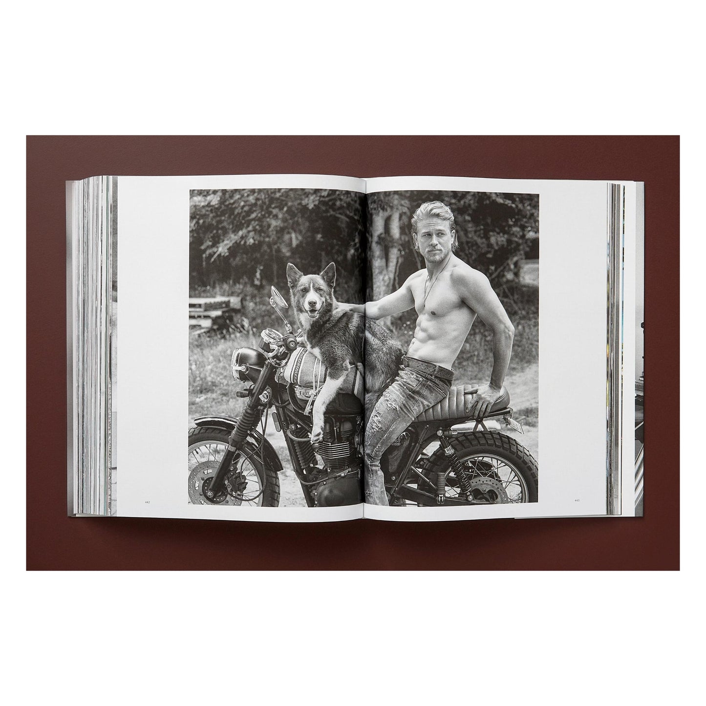 Bruce Weber. The Golden Retriever Photographic Society. Art Edition No. 1–100 ‘Little Bear Ranch, Montana, 1996’ (German, French, English) (SA)