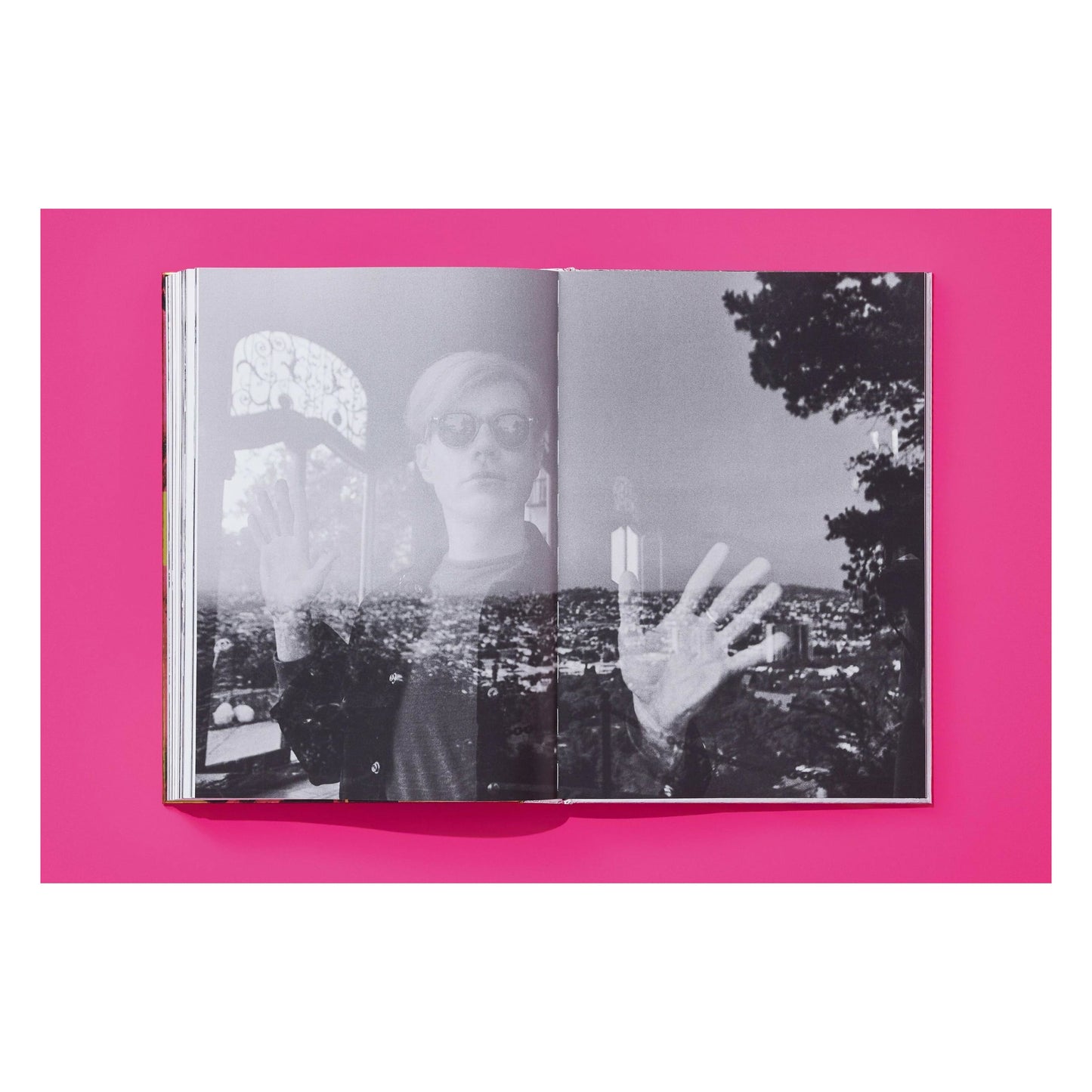 Steve Schapiro. Andy Warhol and Friends (English) (SA)