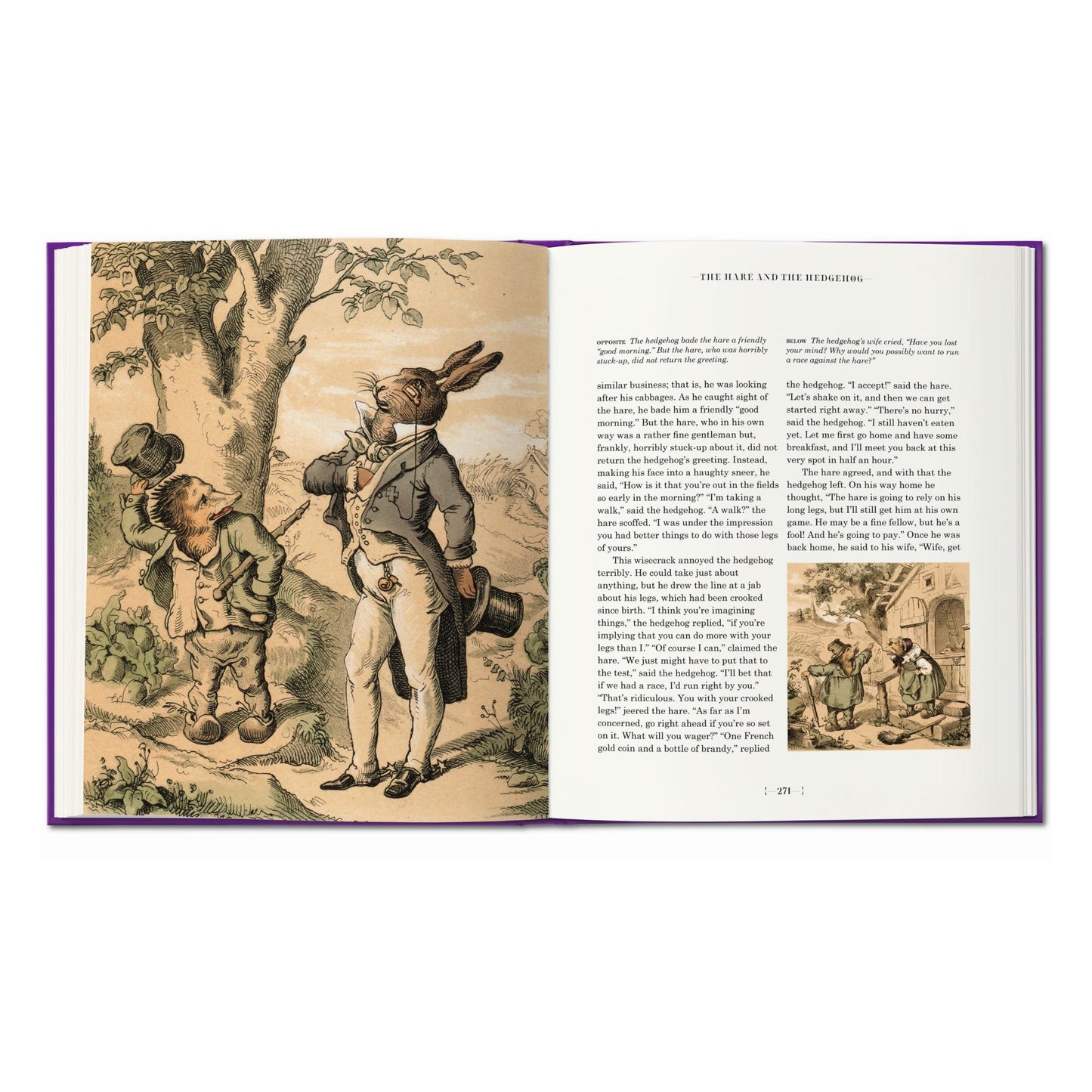 The Fairy Tales of the Brothers Grimm (English)