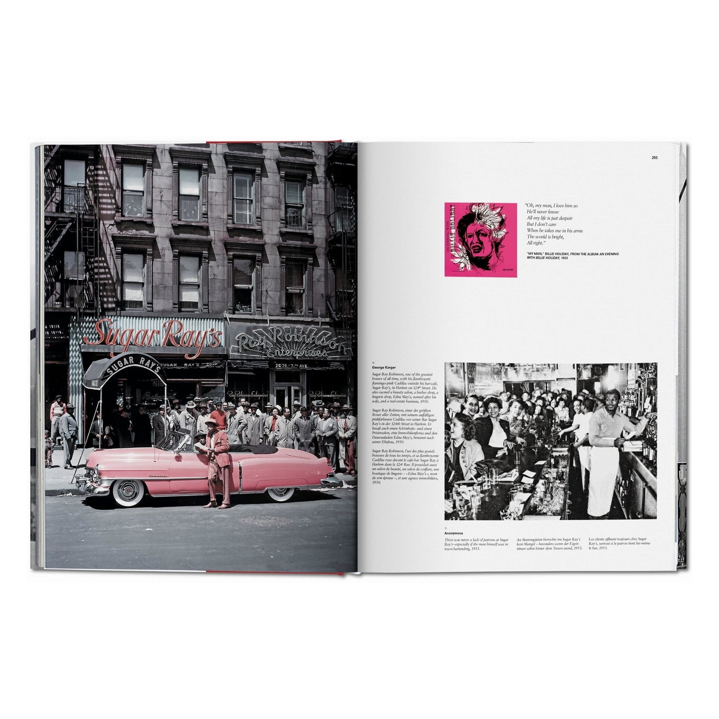 New York. Portrait of a City (German, French, English) (SA)