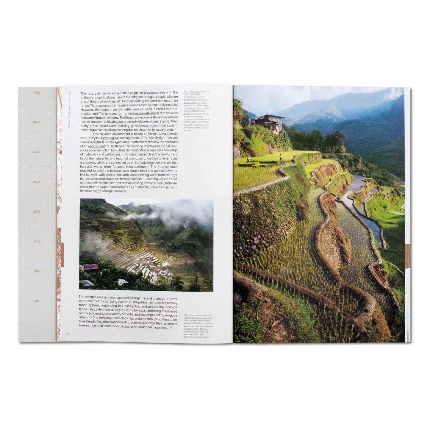 Julia Watson. Lo—TEK. Design by Radical Indigenism (English)