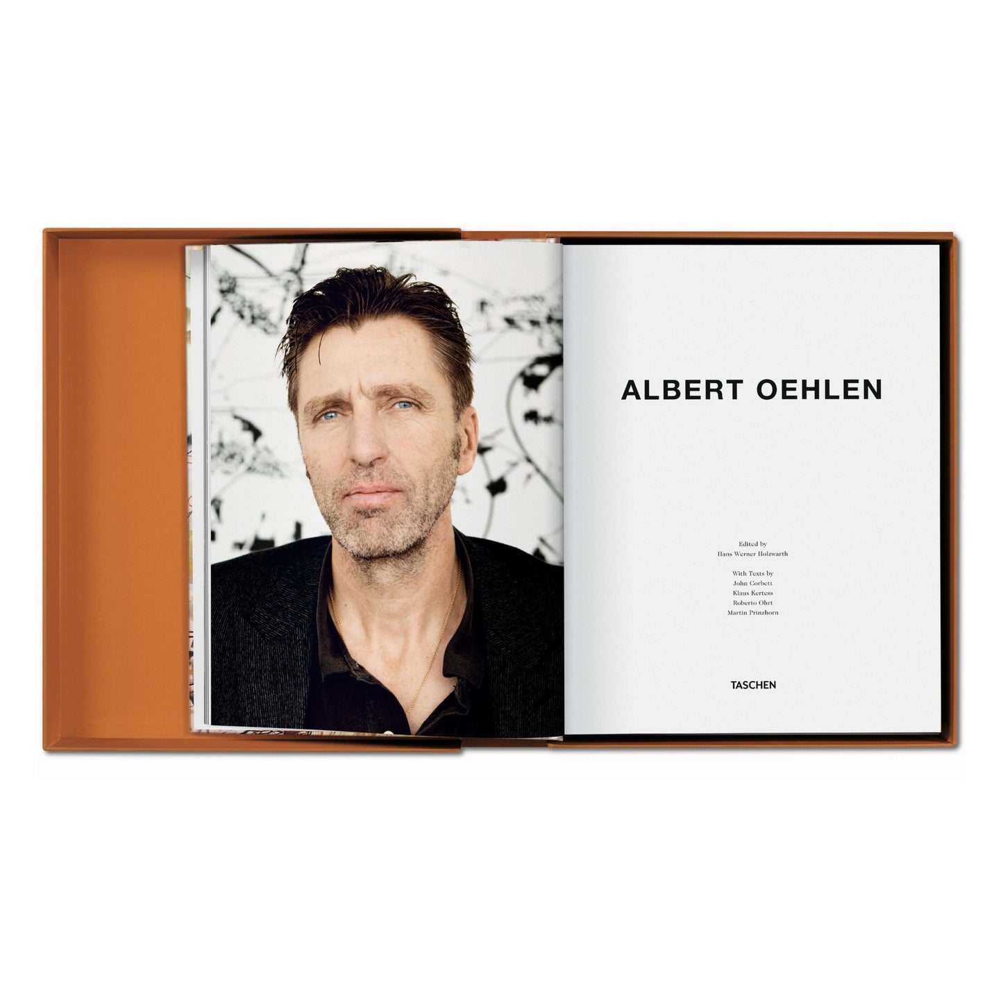 Albert Oehlen. Art Edition (German, French, English) (AP)