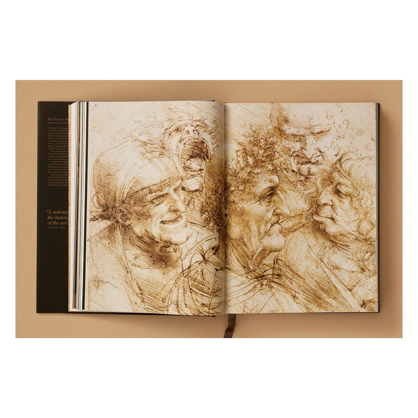 Léonard. Tout l'œuvre peint et graphique (French)