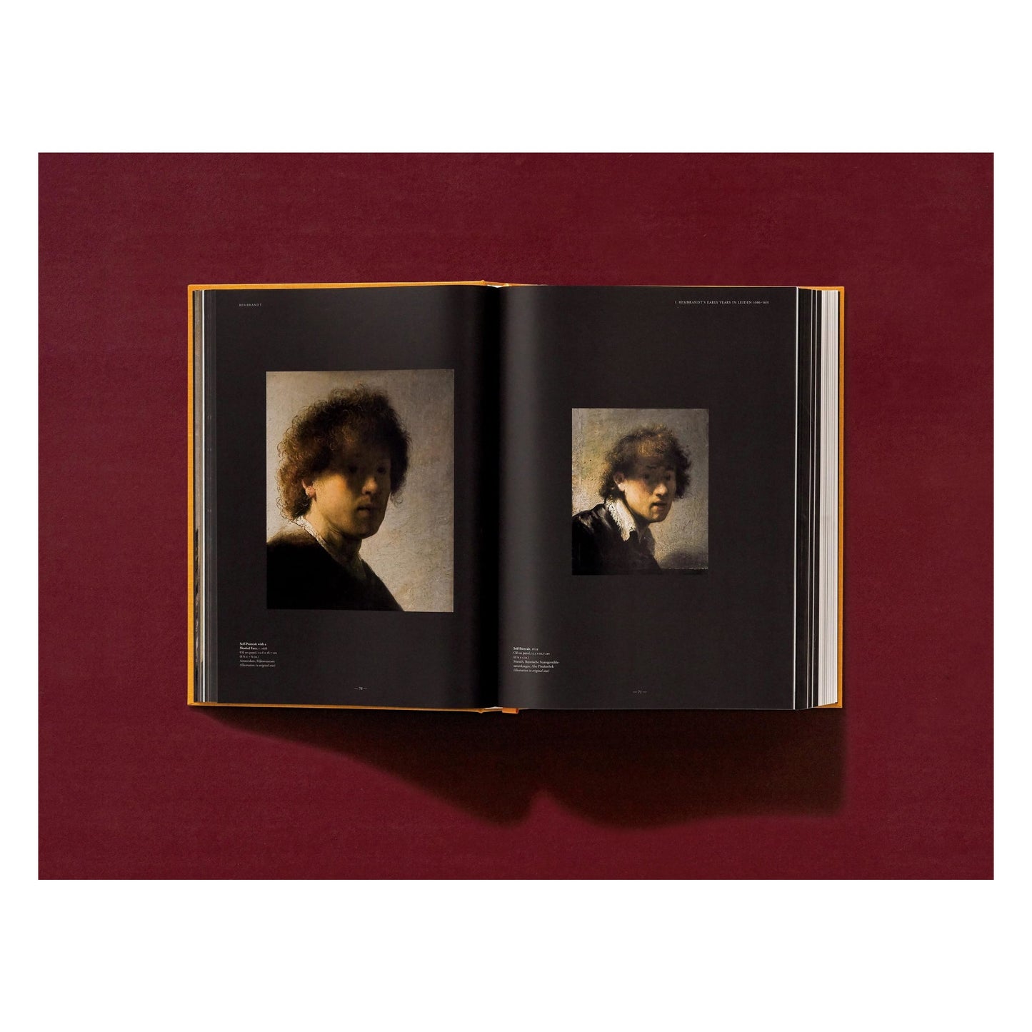 Rembrandt. The Complete Paintings (English)