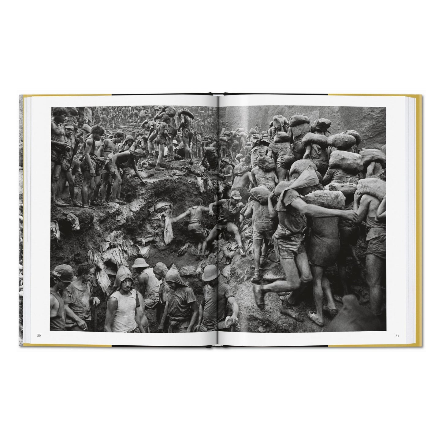 Sebastião Salgado. Gold (German, French, English)