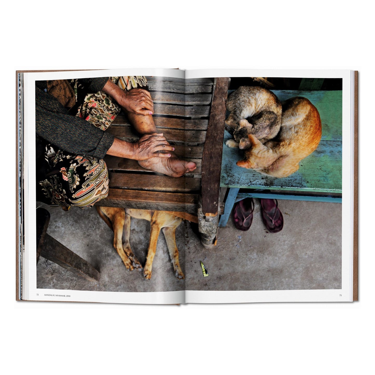 McCurry, Animals, Art A, Chiang Mai (German, French, English) (AP)