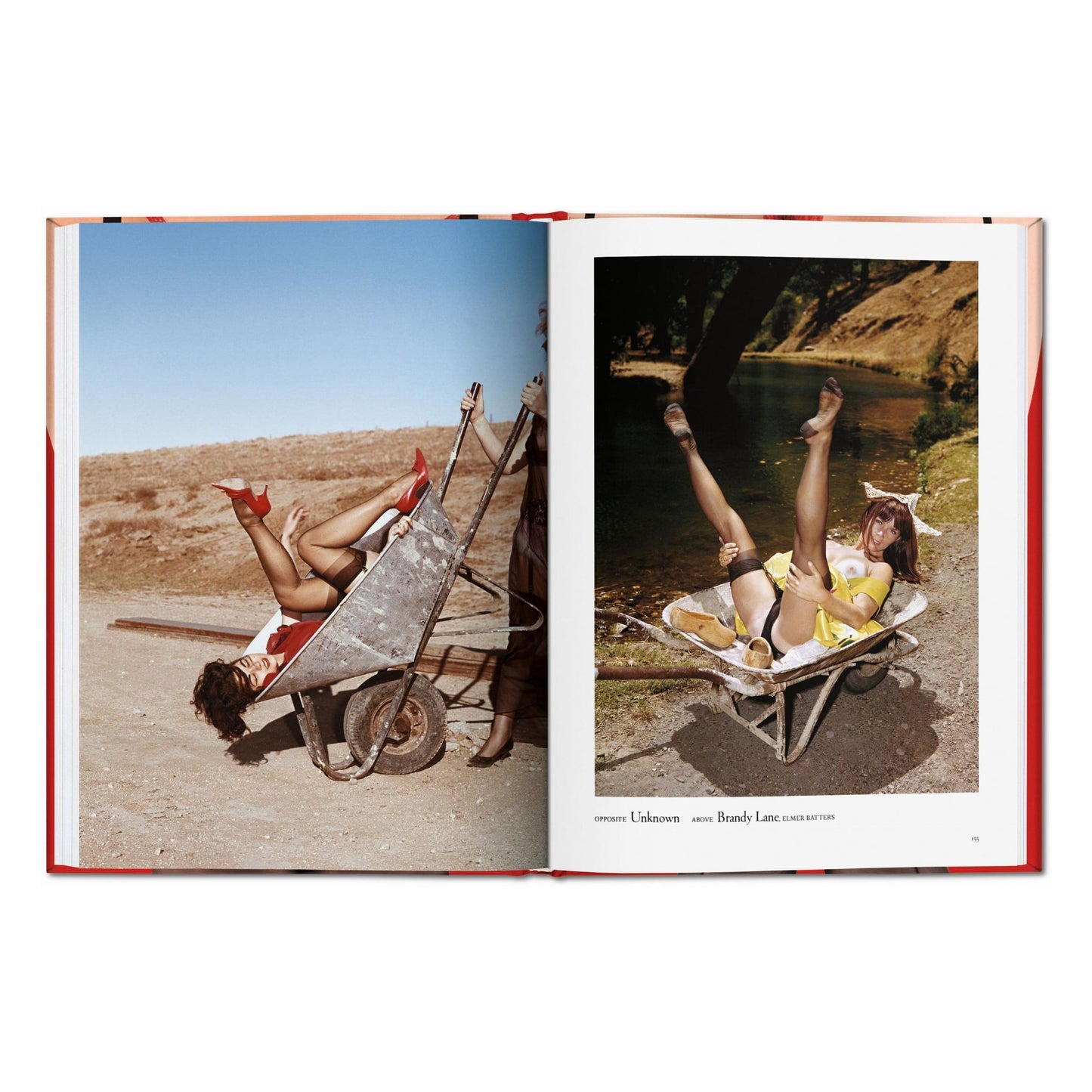 The Little Big Book of Legs (German, French, English)