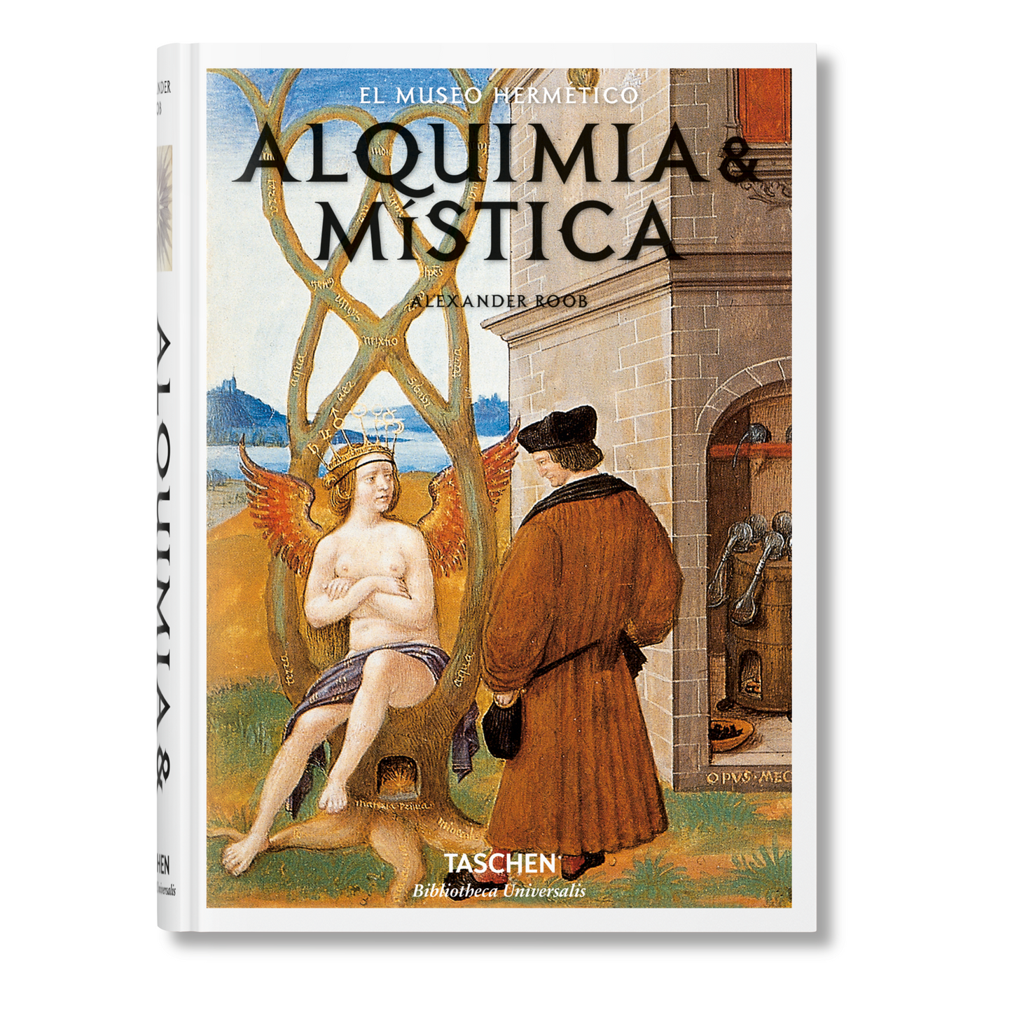 Alquimia & mística (Spanish)