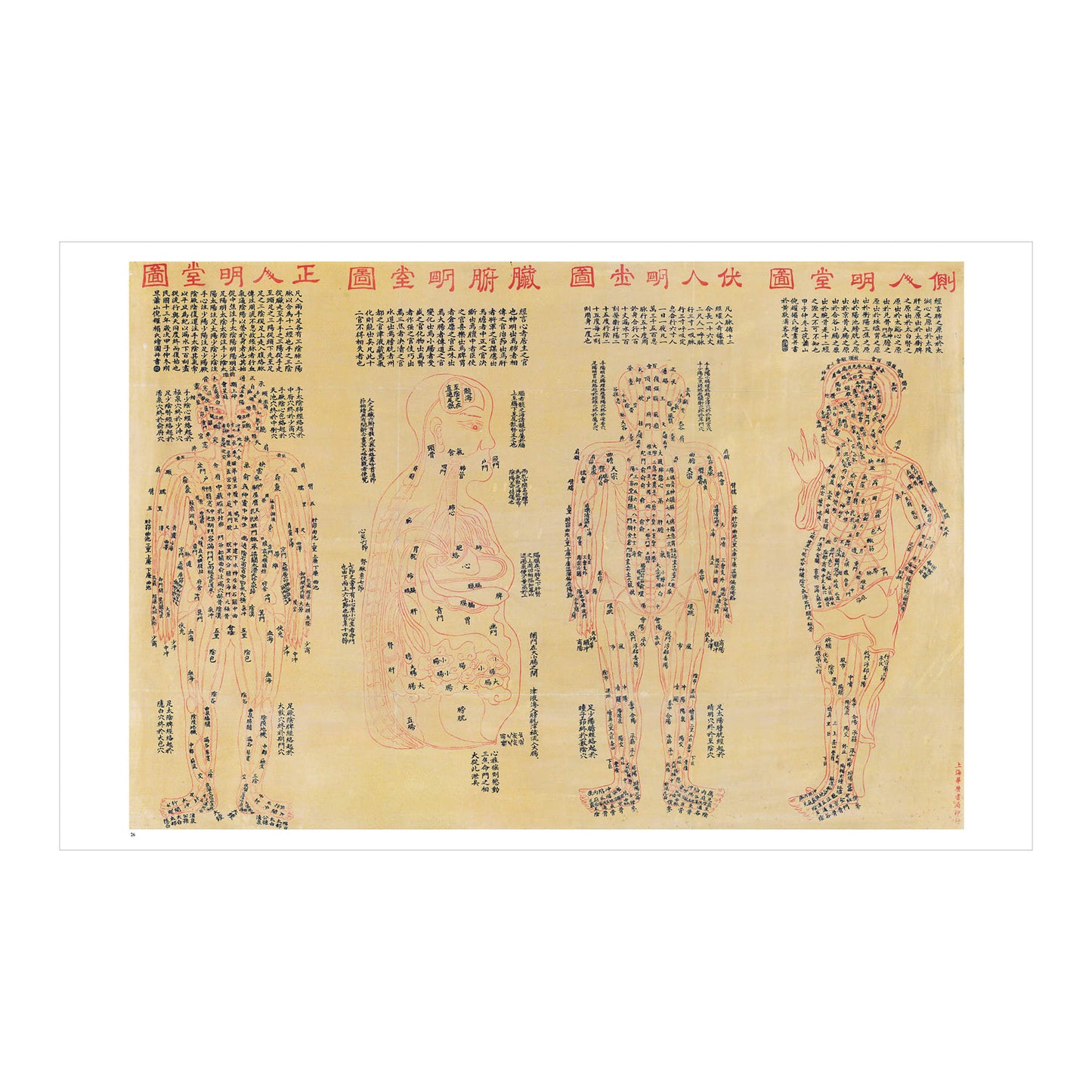 The Book of the Human Body (German, Spanish, French, English)