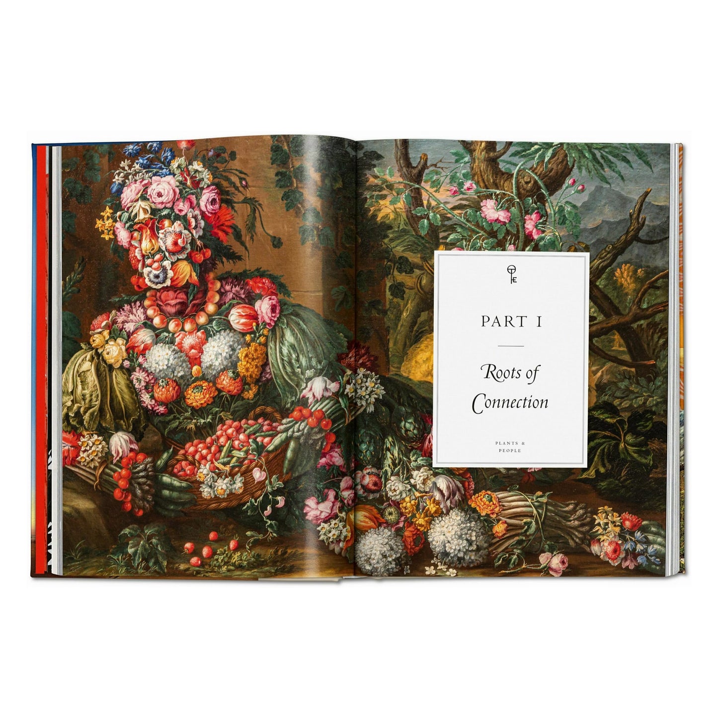 La magia de las plantas. La Biblioteca de Esoterismo (Spanish)
