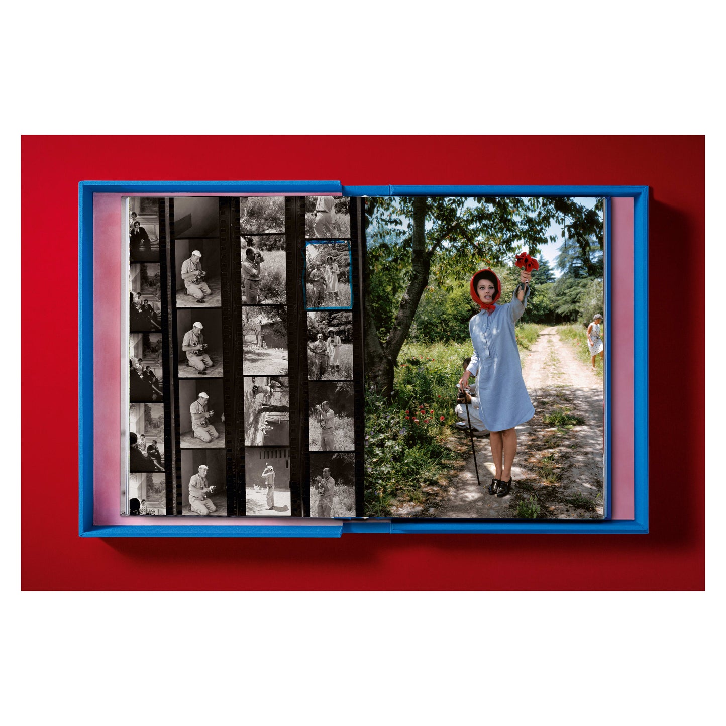 Eisenstaedt, Sophia Loren (English) (SA)