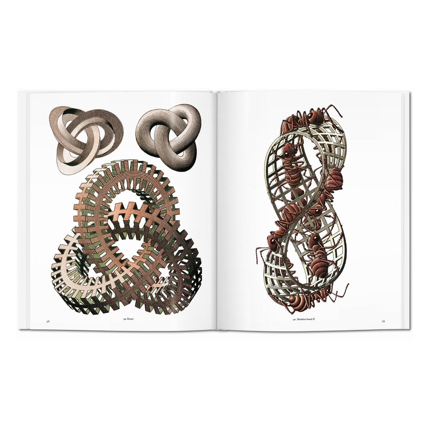 M.C. Escher. Estampas y dibujos (Spanish)