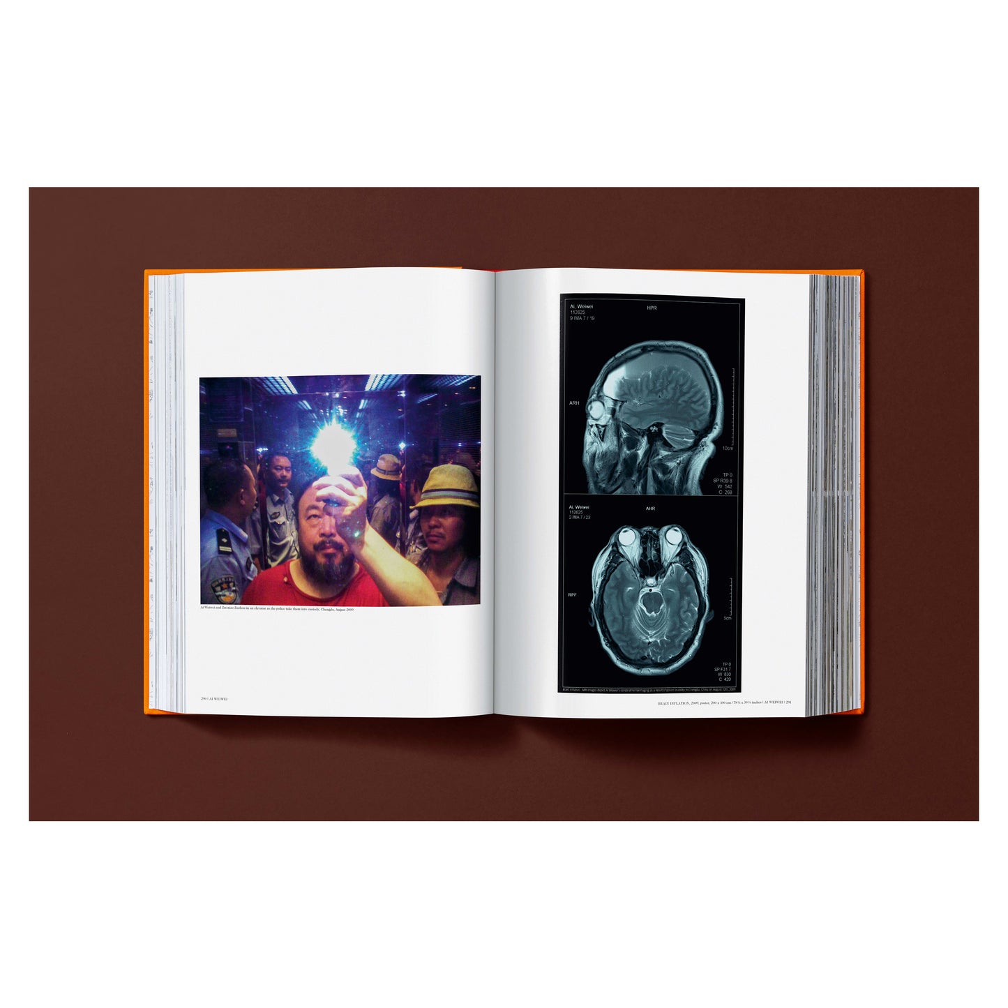 Ai Weiwei. Updated Edition. Art Edition No. 1–100 ‘Ai Weiwei in Pixels’, 2026 (German, French, English) (AP)