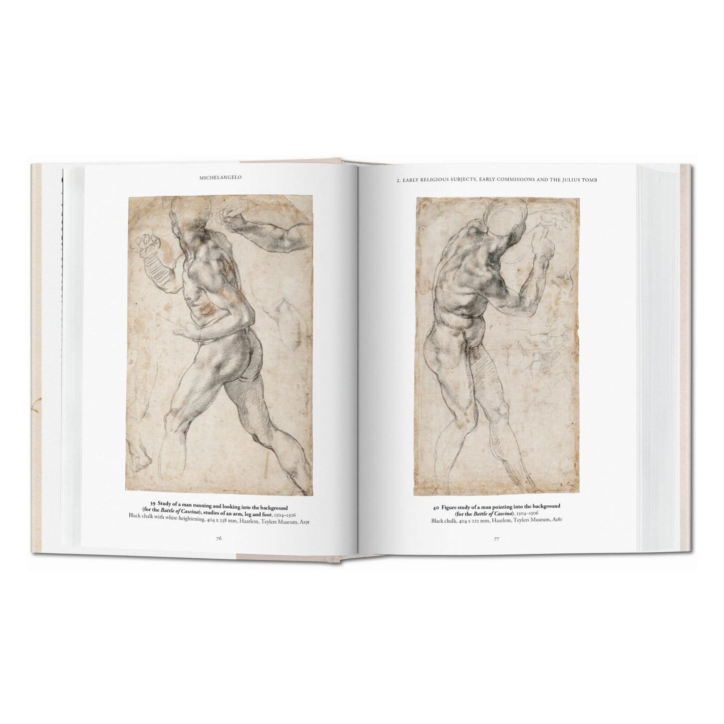 Michel-Ange. L'œuvre graphique (French)