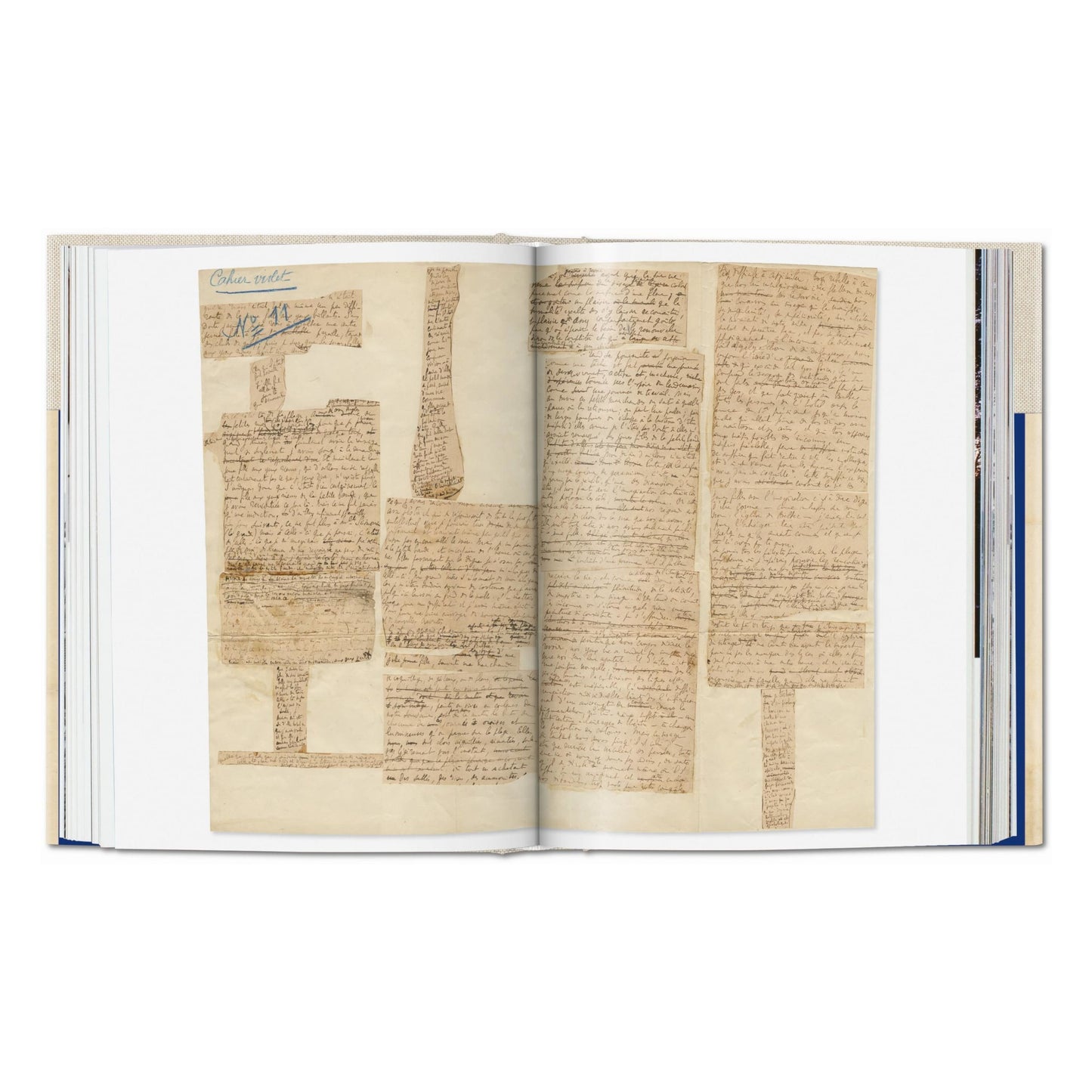 La Magie du manuscrit. Collection Pedro Corrêa do Lago (French)