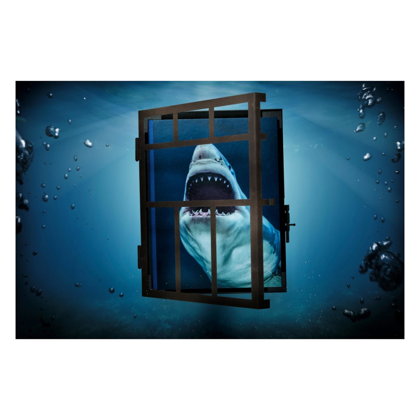 Michael Muller. Sharks (English)