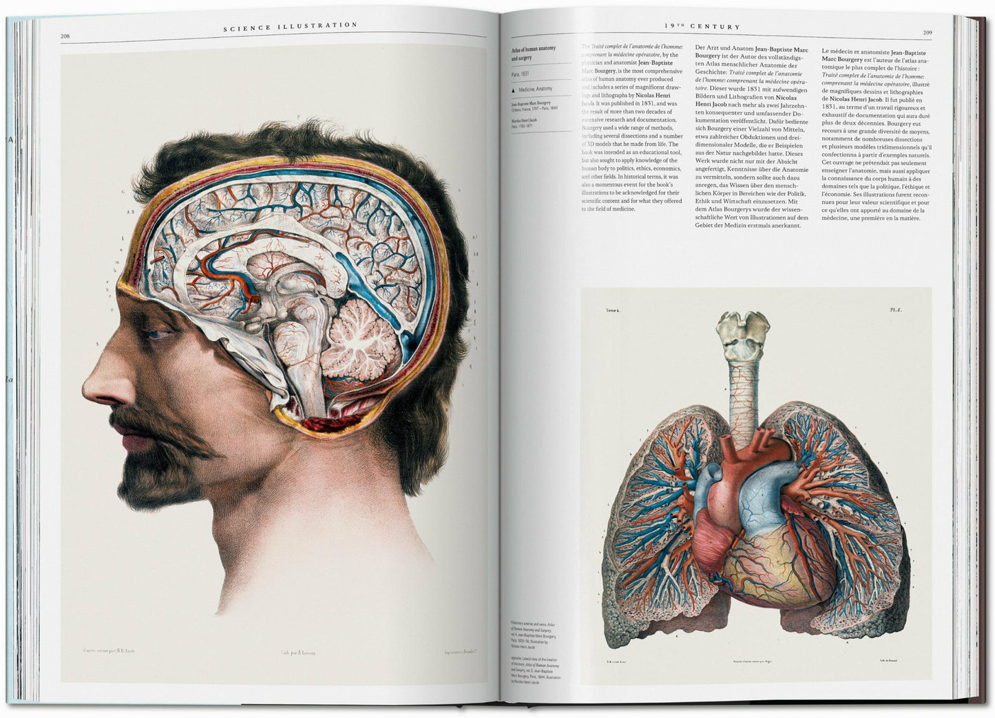 Science Illustration. A History of Visual Knowledge from the 15th Century to Today (Spanish, English, Italian)