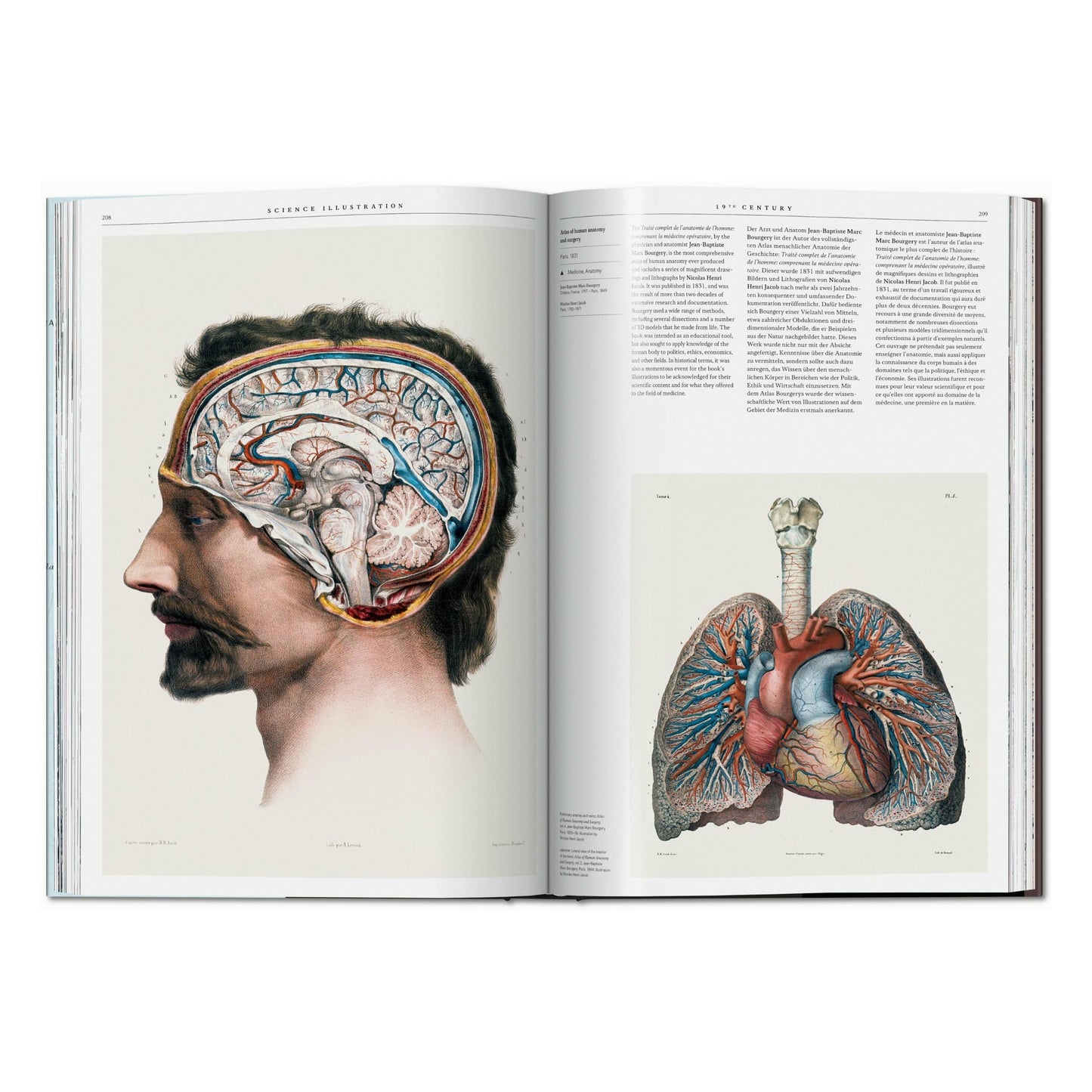 Science Illustration. A History of Visual Knowledge from the 15th Century to Today (Spanish, English, Italian)