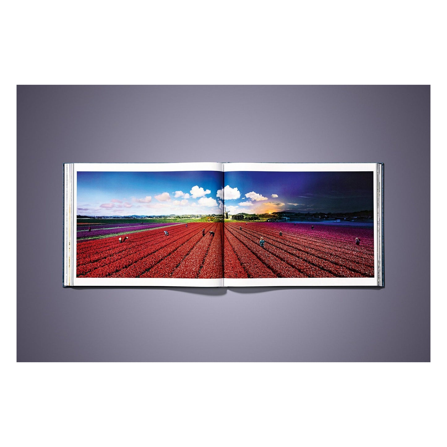 Stephen Wilkes. Day to Night. Art Edition No. 1–100 ‘Brooklyn Bridge, New York City, 2016’ (German, French, English)