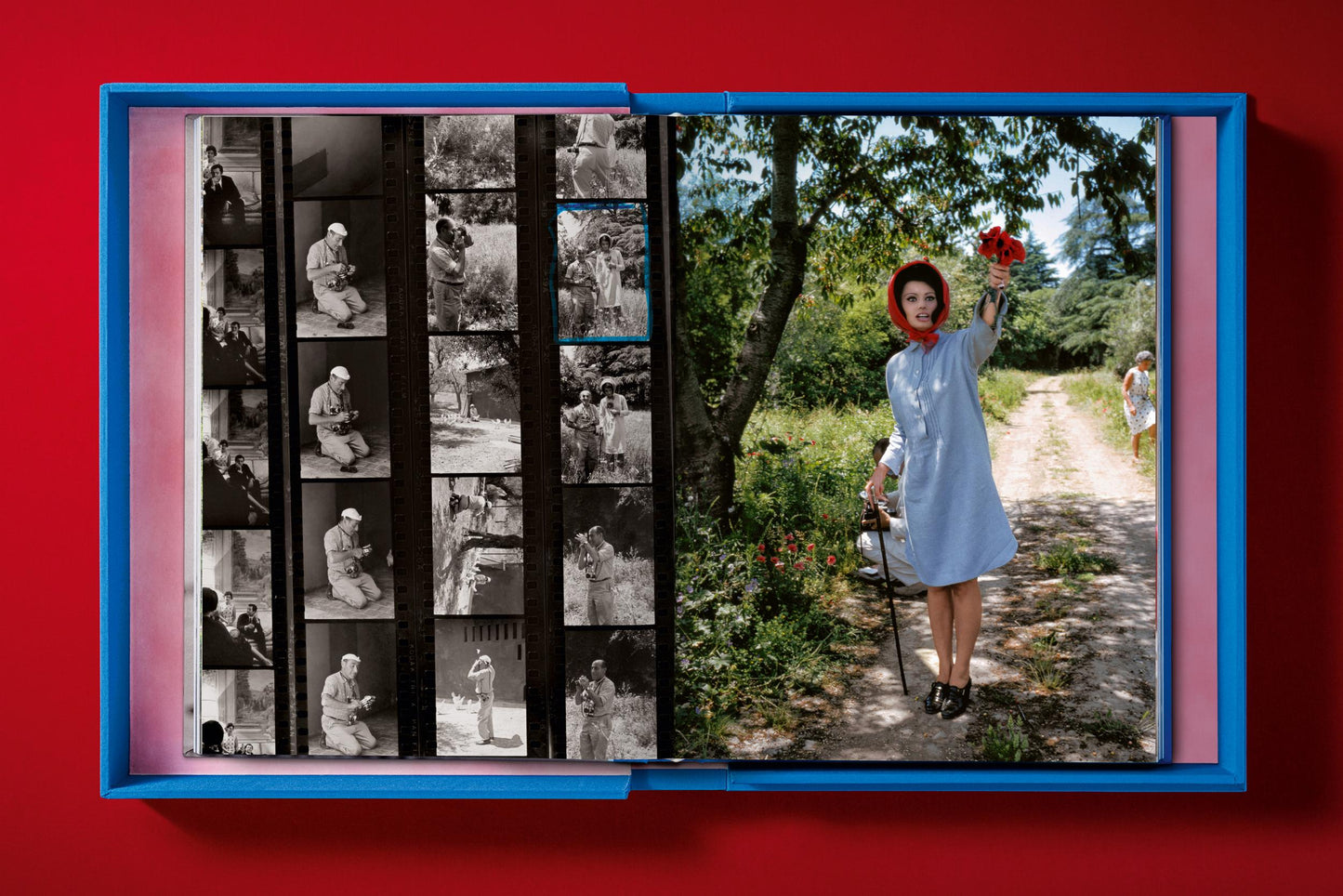 Eisenstaedt, Sophia Loren (English) (AP)