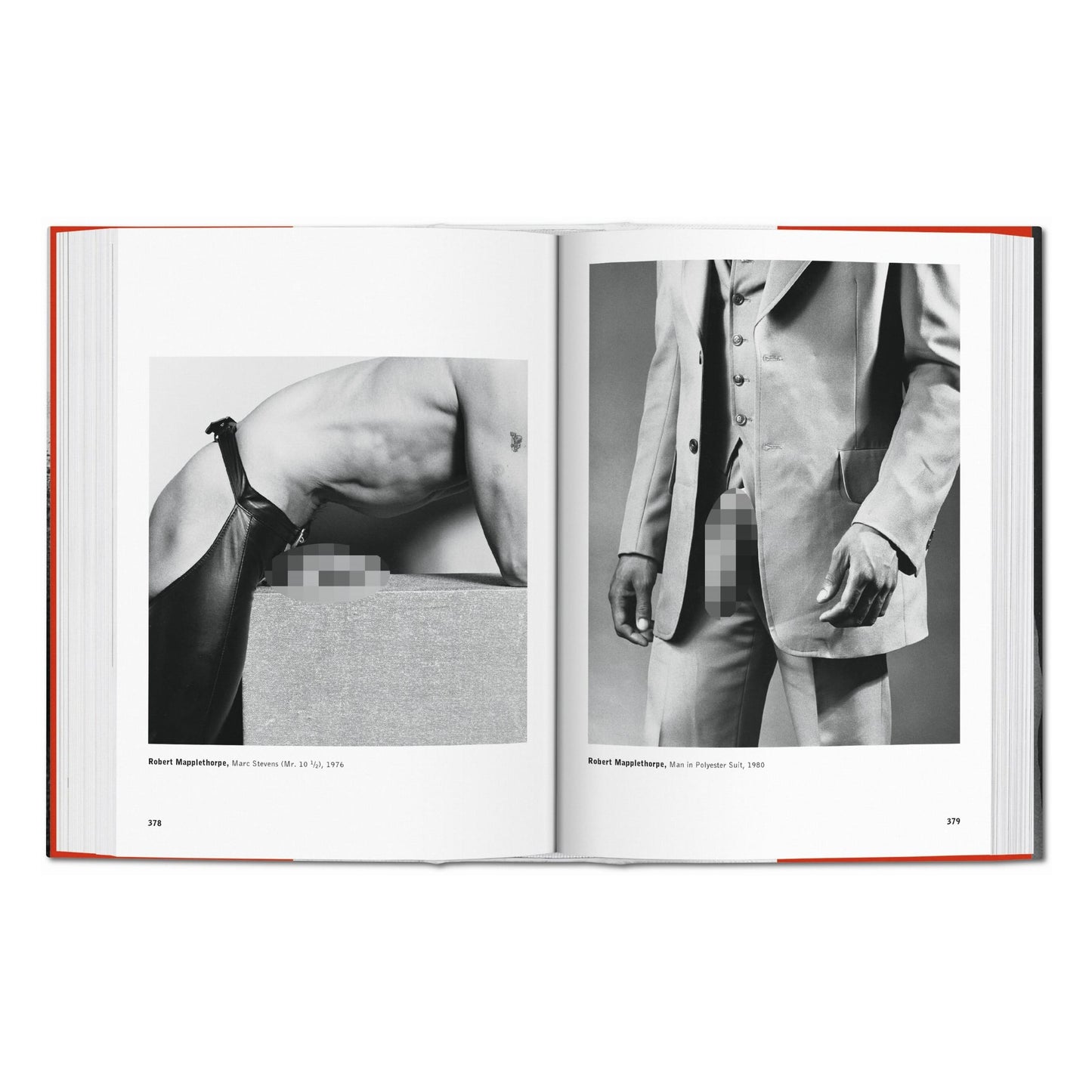 The Male Nude (Spanish, Italian, Portuguese)