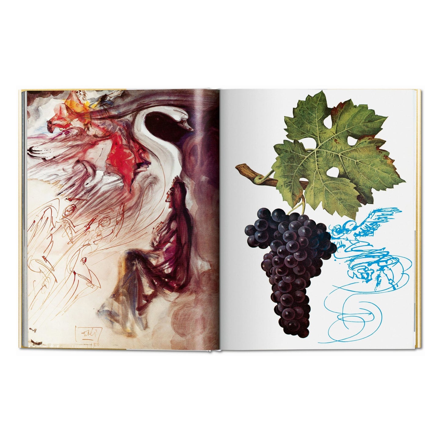 Dalí. Les Vins de Gala (French)