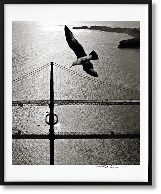 San Francisco. Portrait of a City, Art Edition No. 76–150 'Seagull over Golden Gate Bridge, early 1950s' (German, French, English)