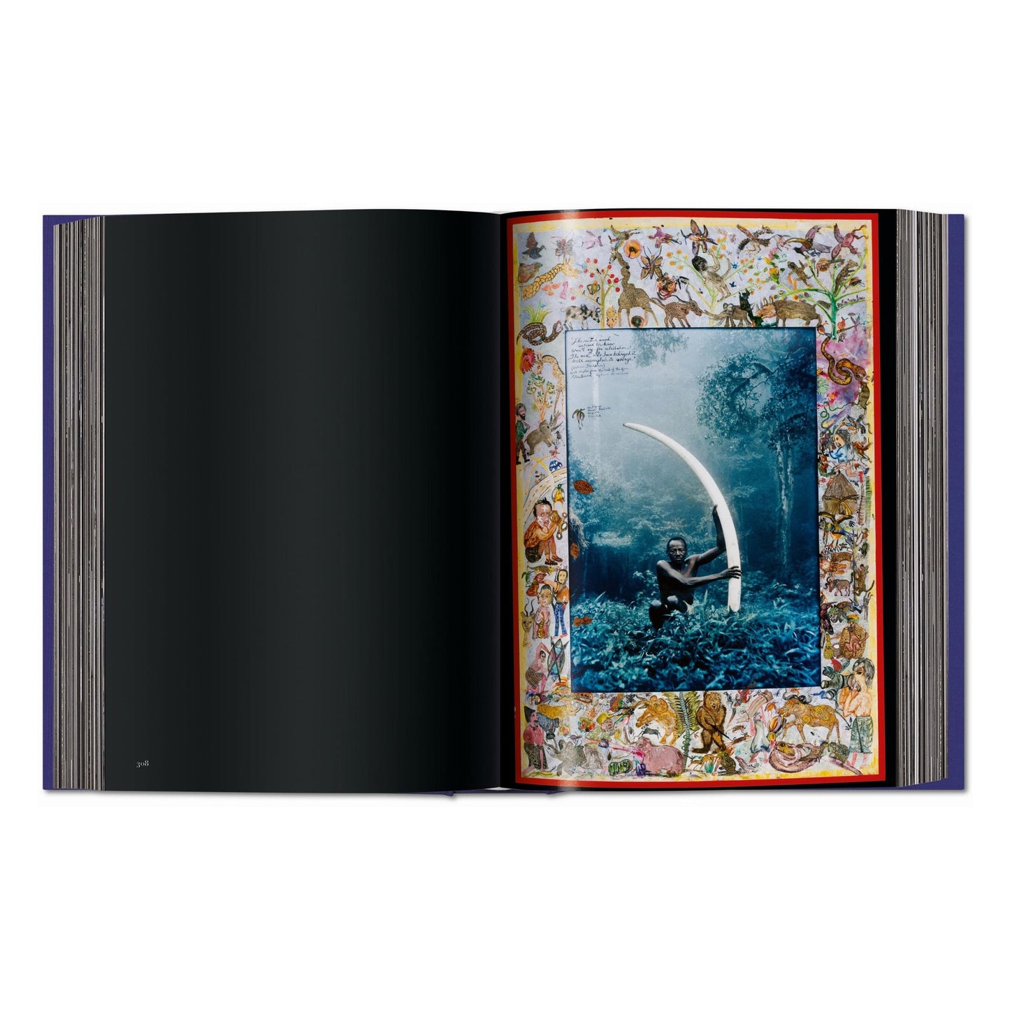 Peter Beard (German, French, English)