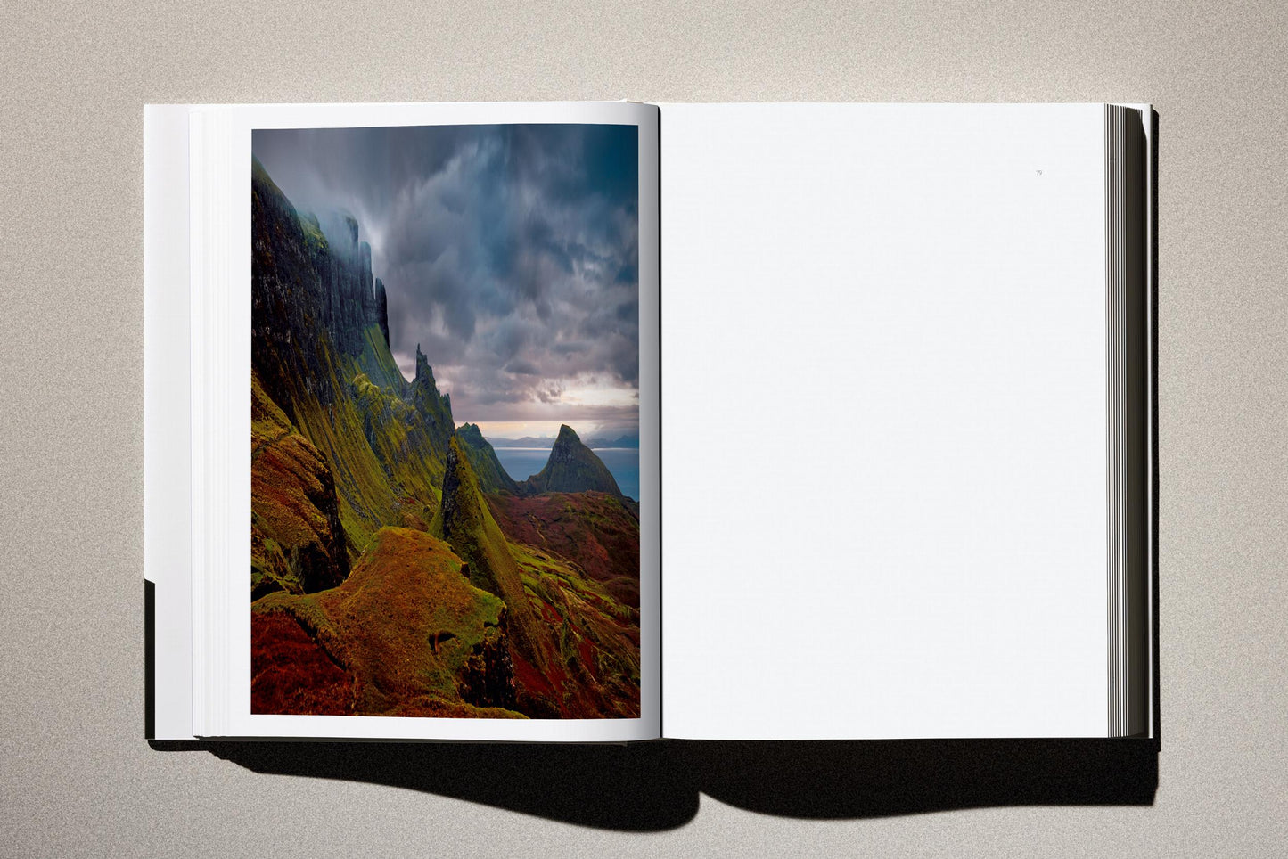 Albert Watson. Kaos. 2nd Edition. Art Edition No. 1–50, ‘Steve Jobs, Cupertino, California’, 2006 (German, French, English)