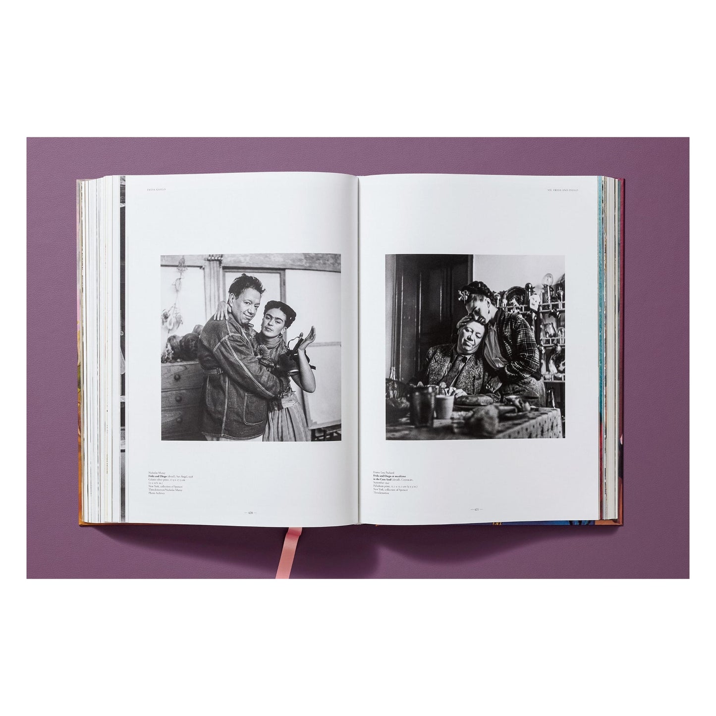 Frida Kahlo. Toute l'œuvre peinte (French)